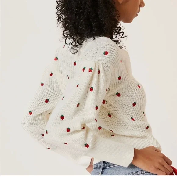 Anthropologie Maeve Embroidered Sweater Top NWT Size 3X - Picture 2 of 14